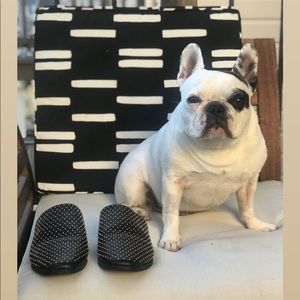 Sol Sana Mule Studded Slides size 9